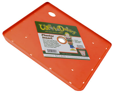 BLOEM LLC, Bloem Ups A Daisy Orange Plastic 1 in. H Plant Insert 1 pk