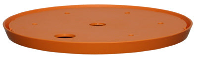 BLOEM LLC, Bloem Ups-A-Daisy Orange Plastic 1 in. H Round Plant Insert 1 pk (Pack of 12)