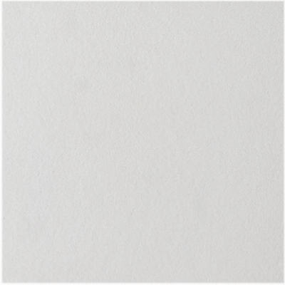 USG INTERIORS INC, USG Custom 12 in. L x 12 in. W 0.5 in. Staple Ceiling Tile (Pack of 32)