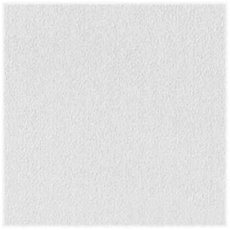 USG INTERIORS INC, USG Sheetrock Brand Non-Directional 24 in. L X 24 in. W 0.5 in. Square Edge Ceiling Panel 1 pk (Pack of 4)