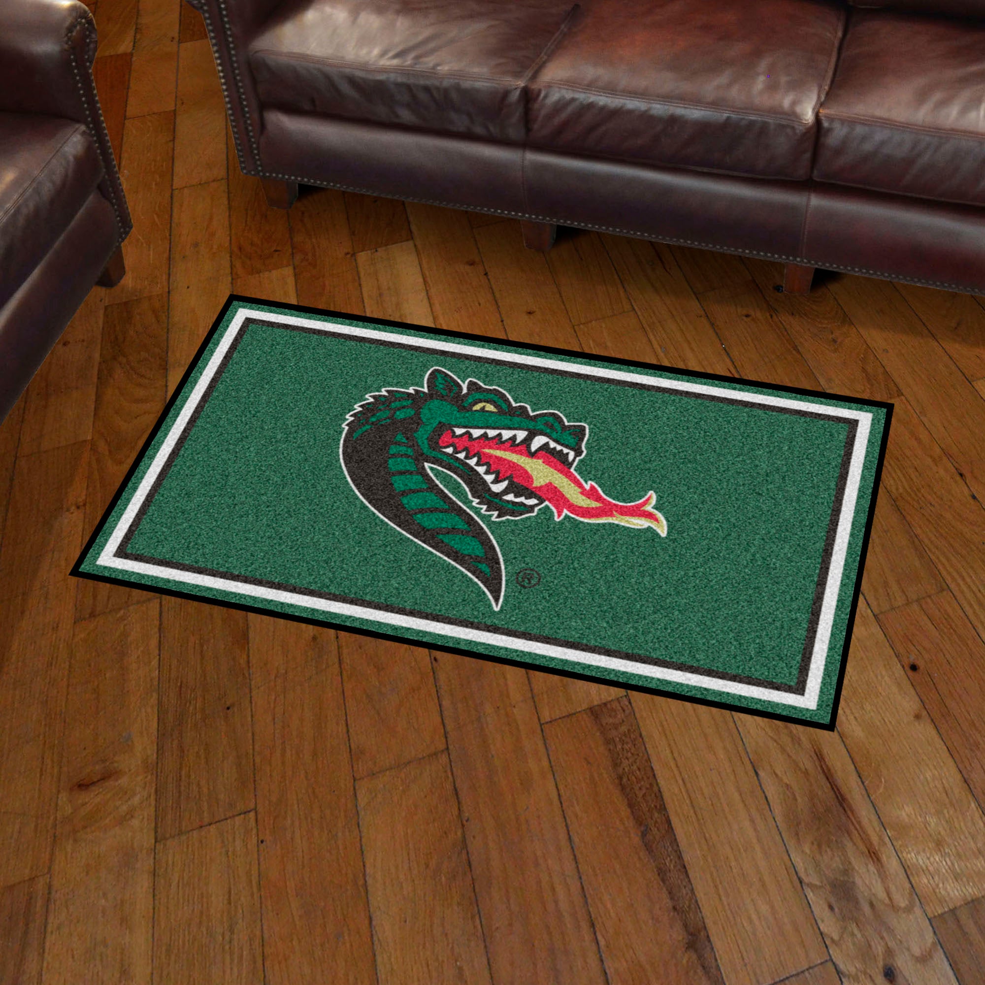 FANMATS, University of Alabama at Birmingham 3ft. x 5ft. Plush Area Rug