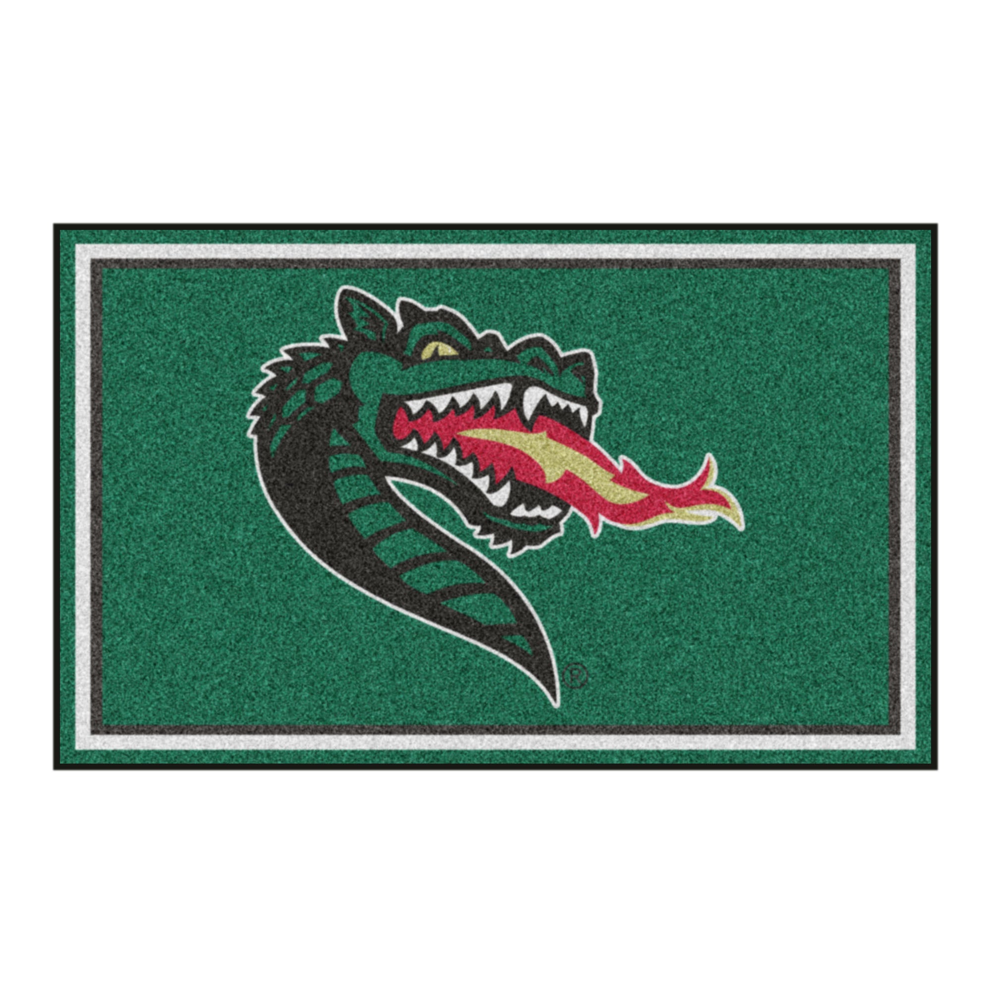 FANMATS, University of Alabama at Birmingham 4ft. x 6ft. Plush Area Rug