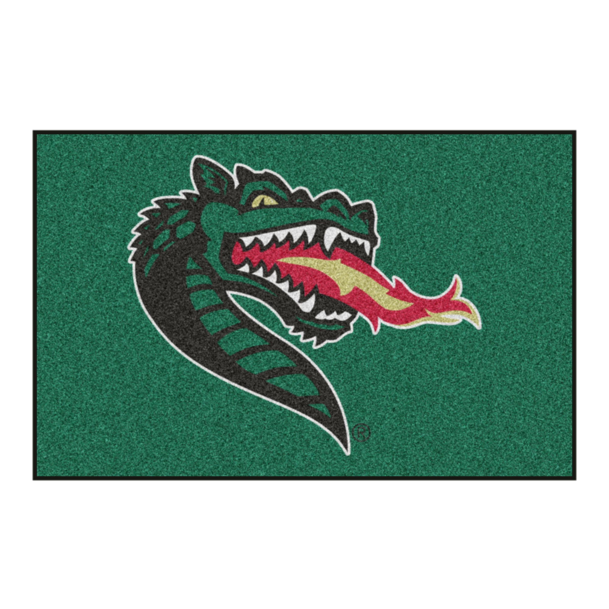 FANMATS, University of Alabama at Birmingham Rug - 19in. x 30in.