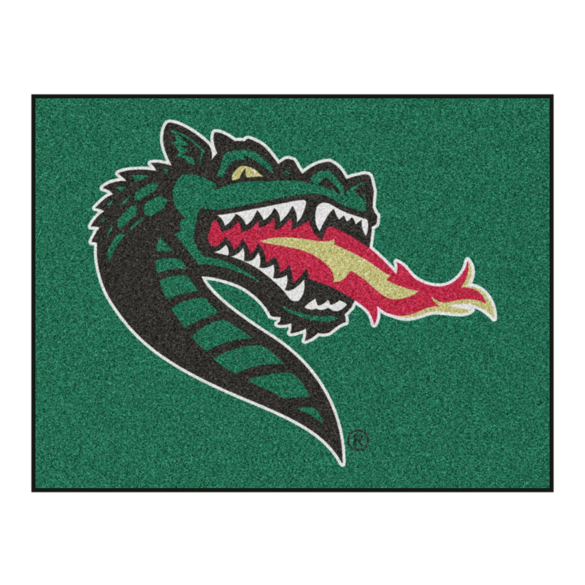 FANMATS, University of Alabama at Birmingham Rug - 34 in. x 42.5 in.