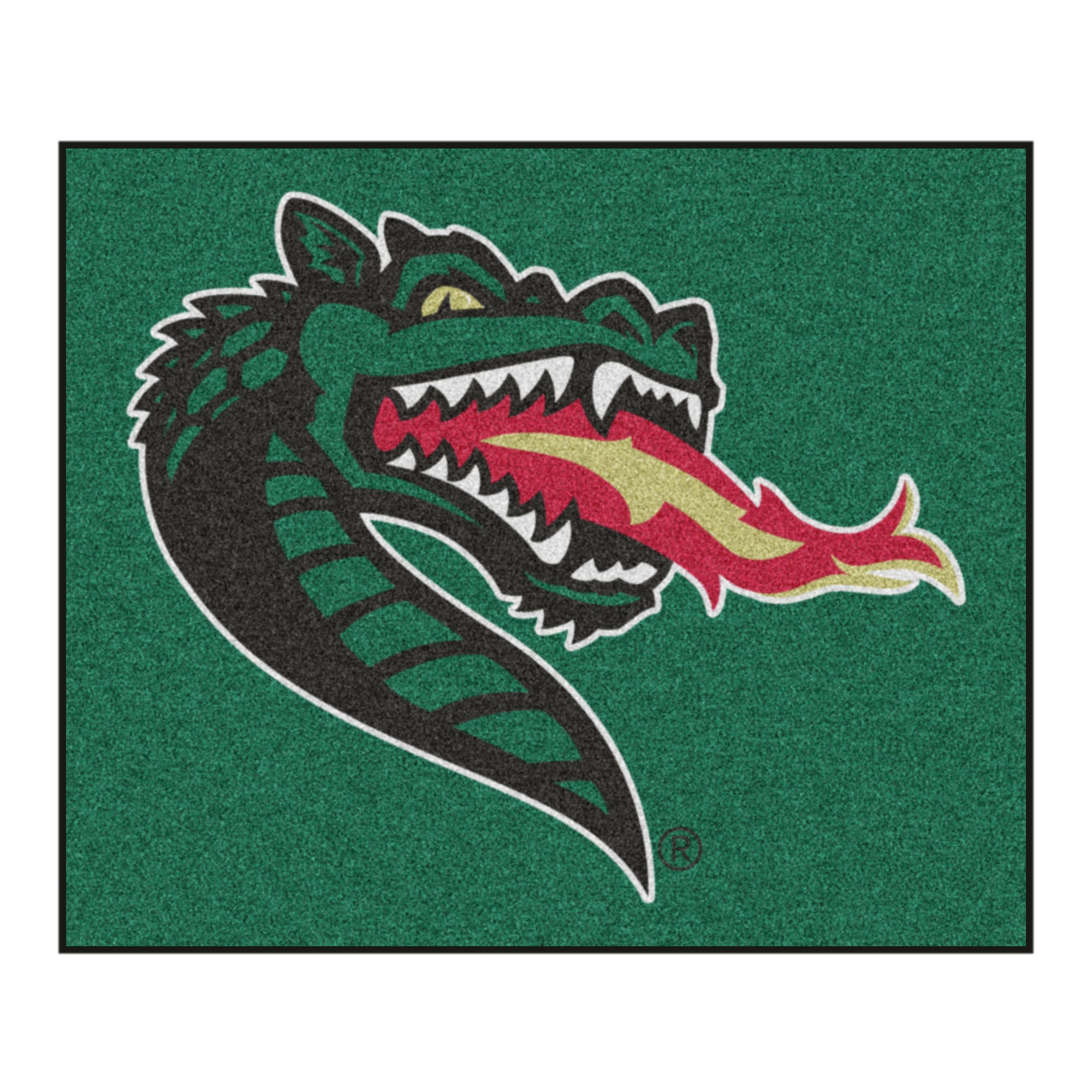 FANMATS, University of Alabama at Birmingham Rug - 5ft. x 6ft.