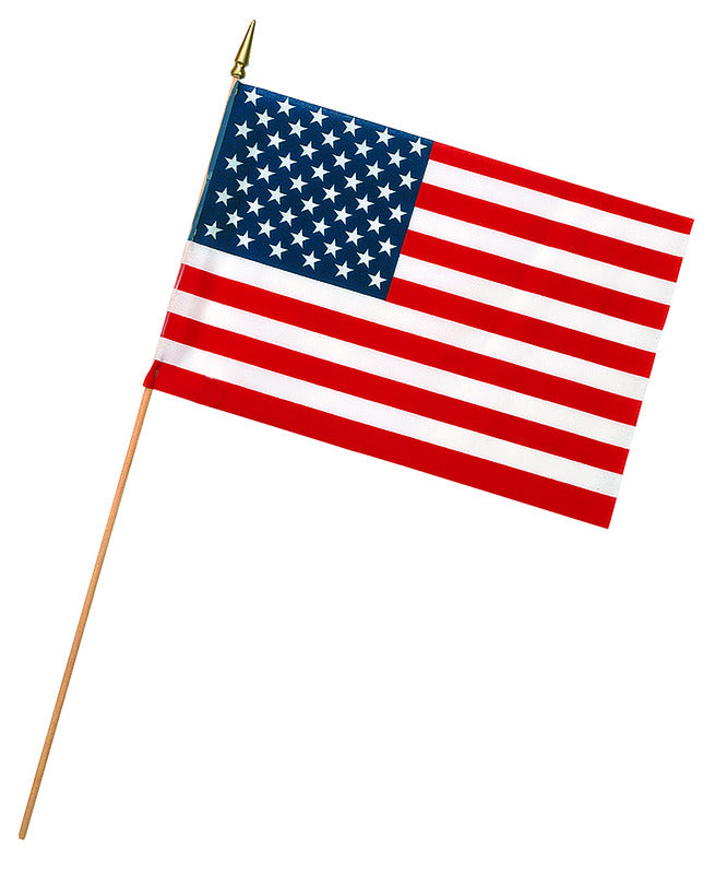 VALLEY FORGE FLAG COMPANY LLC, Valley Forge American Flag 12 in. H x 18 in. W (Pack of 48)