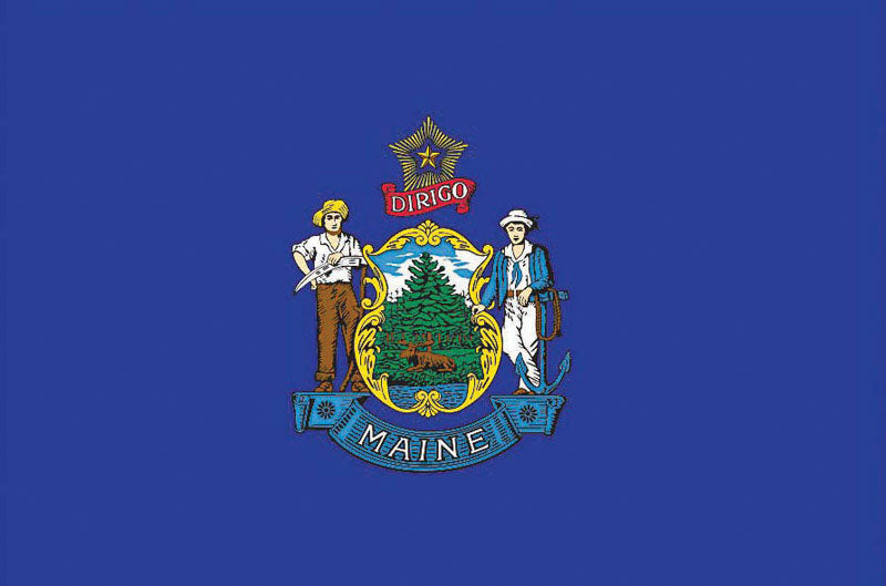 VALLEY FORGE FLAG COMPANY LLC, Valley Forge Maine State Flag 36 in. H X 60 in. W